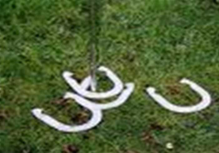 Hire Horse shoe tossing game