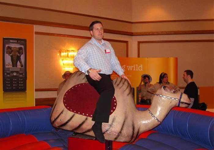 Hire Rodeo Camel Ride