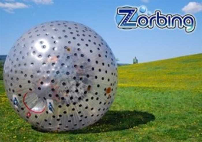Zorb Ball on grass