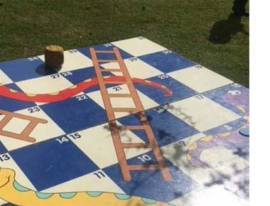 Hire giant snakes and ladders