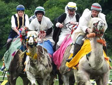 Camels Racing