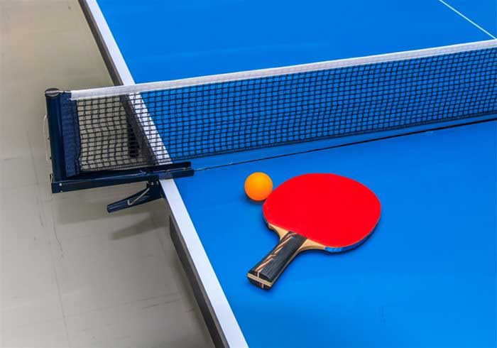 Table tennis table and bat
