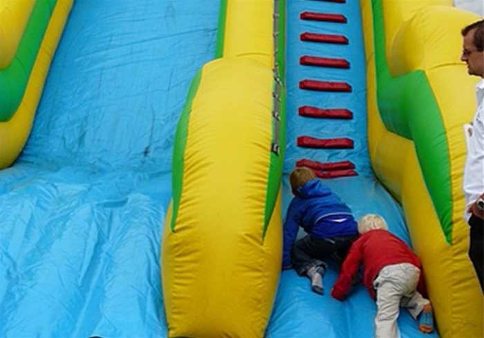 Giant Inflatable Slides