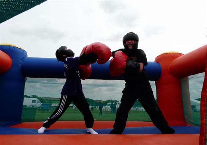 Fun Boxing Inflatable